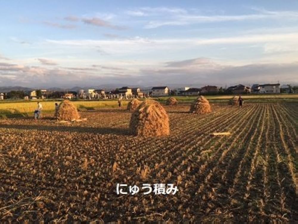 Amazon.co.jp: 無農薬 有機栽培 天日干し 稲ワラ 無選別カット 宅配便