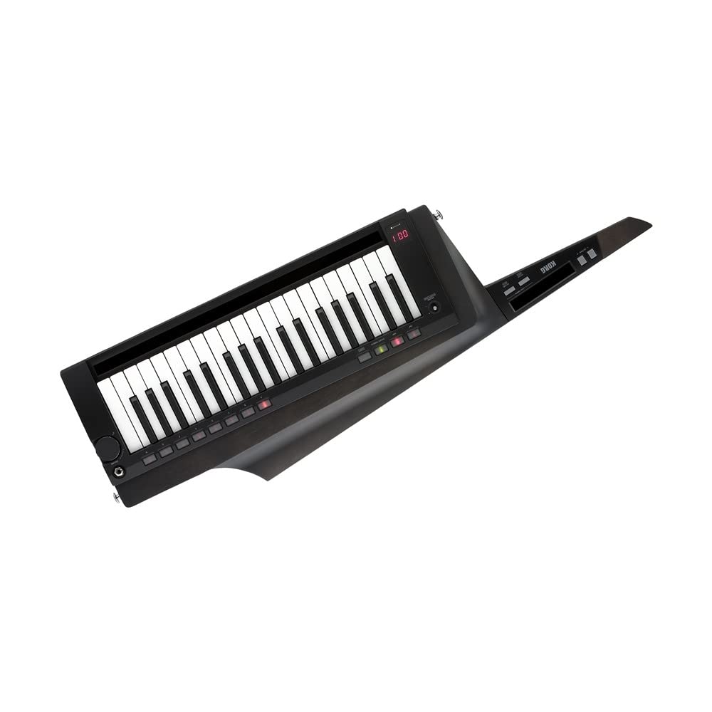 Amazon.com: RK-100S 2 Keytar Black : Musical Instruments