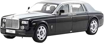 51OqeTP8uTL._AC_UF350,