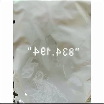 Amazon.co.jp: サカナクション フーディー パーカー サイズ2 834.194