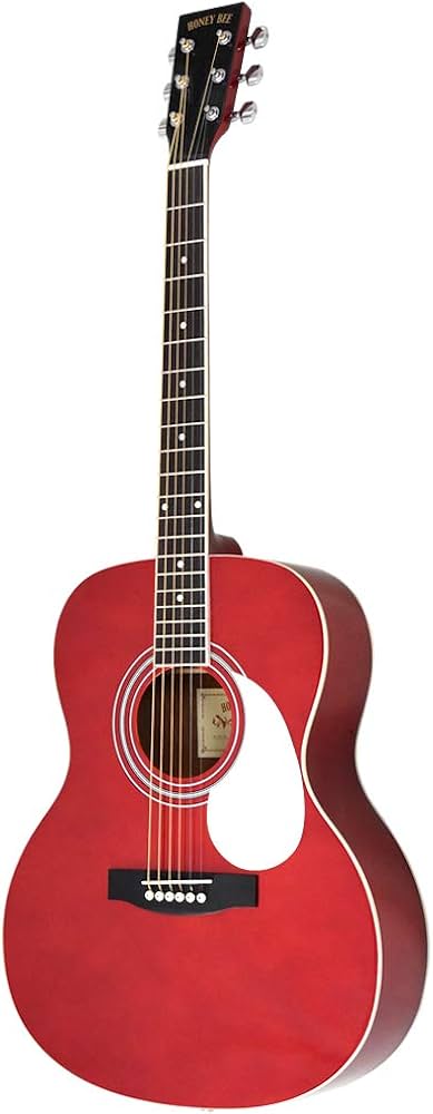Amazon | HONEY BEE ハニービー アコースティックギター フォーク