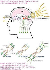 Amazon.co.jp: （5個セット）高波動宇宙エネルギーで開運、健康