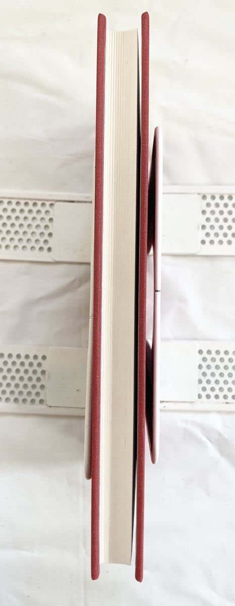 Amazon.co.jp: エースコンバット5 ラーズグリーズワッペン付属 姫君の