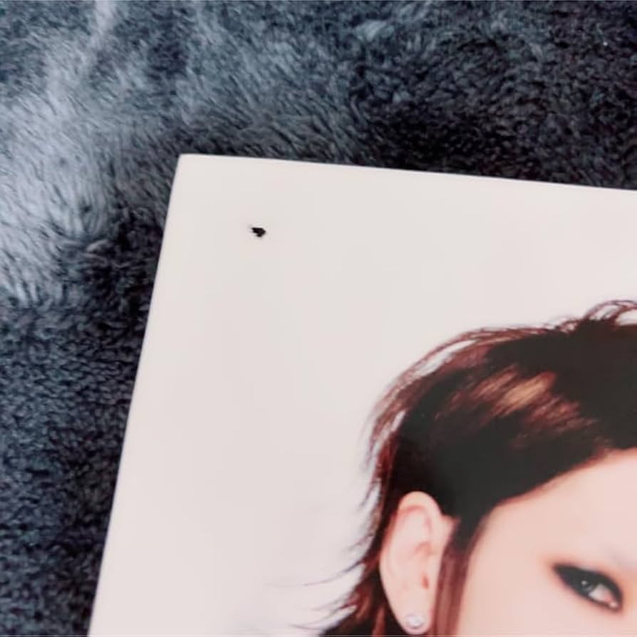 Amazon.co.jp: ガゼット the GazettE ポスター フライヤー グッズ