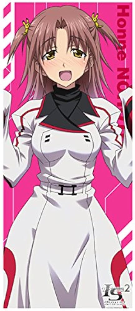 Amazon.co.jp: インフィニット・ストラトス2 マイクロファイバー