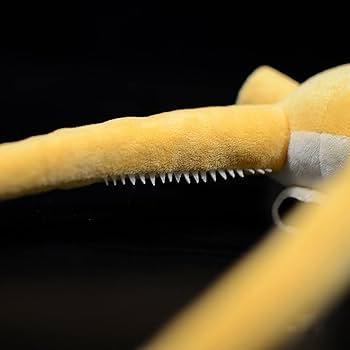 Amazon.co.jp: ZHONGXIN MADE リアルなカンブリア紀の古代生物