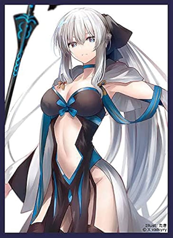 Amazon.co.jp: FGO fate grand order モルガン スリーブ イラスト:たき