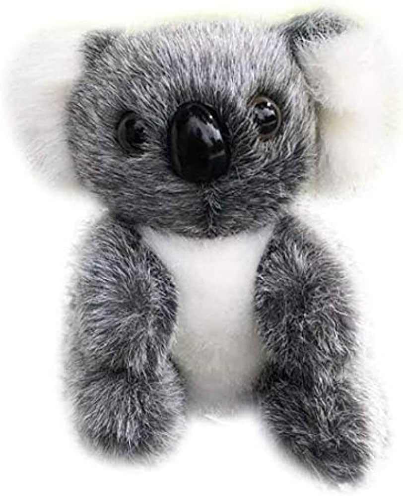 Amazon.co.jp: コアラのぬいぐるみ オーストラリア コアラ ソフト