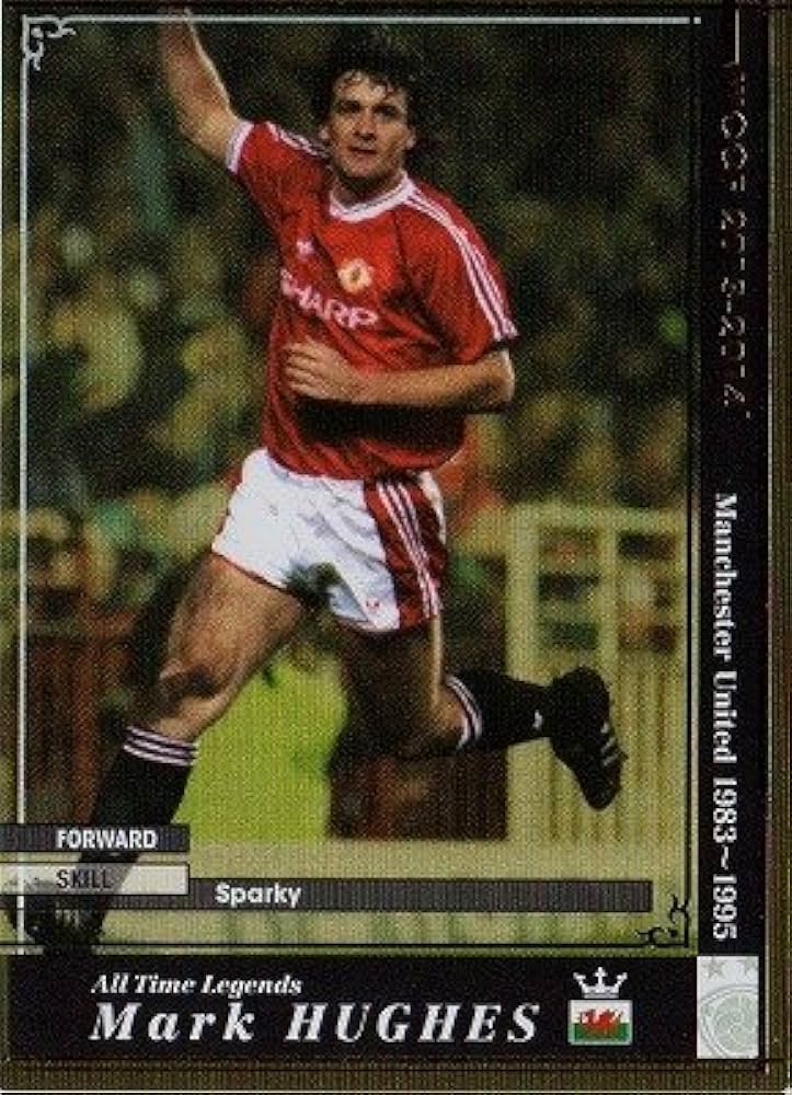 Amazon.co.jp: WCCF/13-14/ver2.0/ATLE/マーク・ヒューズ : スポーツ