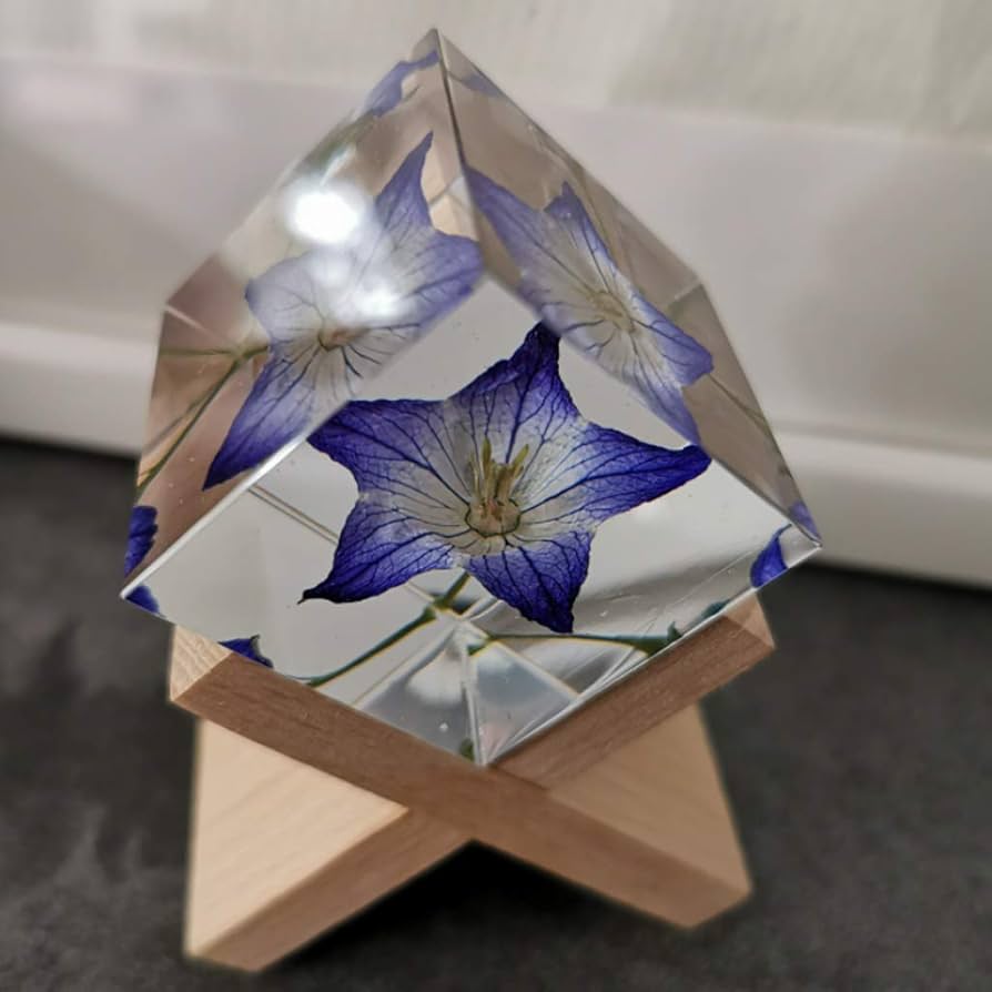 Amazon.co.jp: 植物標本,植物樹脂標本,透明樹脂標本,生物学的教育,教育