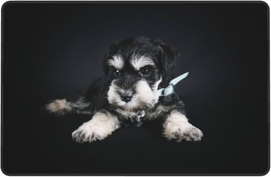 Amazon | ミニチュア・シュナウザー 子犬 カーペット 長方形