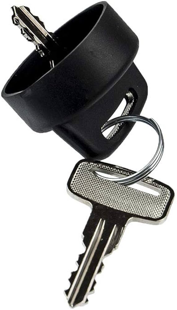 Amazon.com: CUB CADET 959-3950 Ignition Key Set 7264 7252 5252