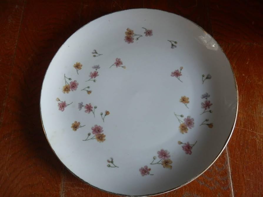 Amazon.co.jp: レトロ SONE CHINA(ソネチャイナ) 小花柄 大皿 洋食器