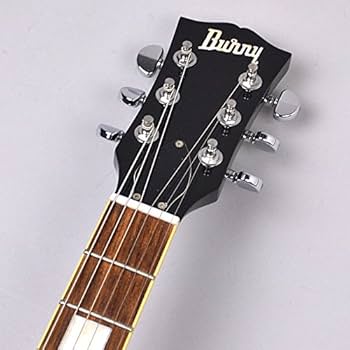 Amazon | Burny SRSA65 BS エレキギター セミアコ ES-335タイプ ホロウ