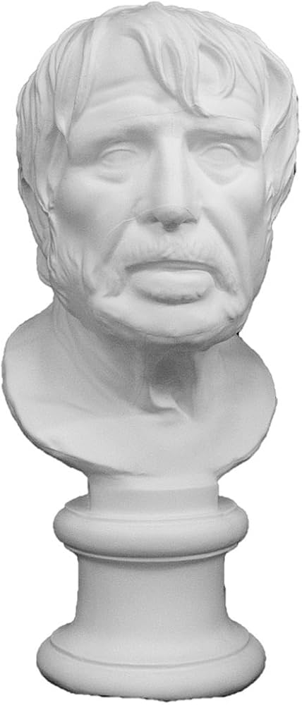 Amazon.co.jp: 石膏像 K－166 セネカ胸像 H．47cm : ホーム