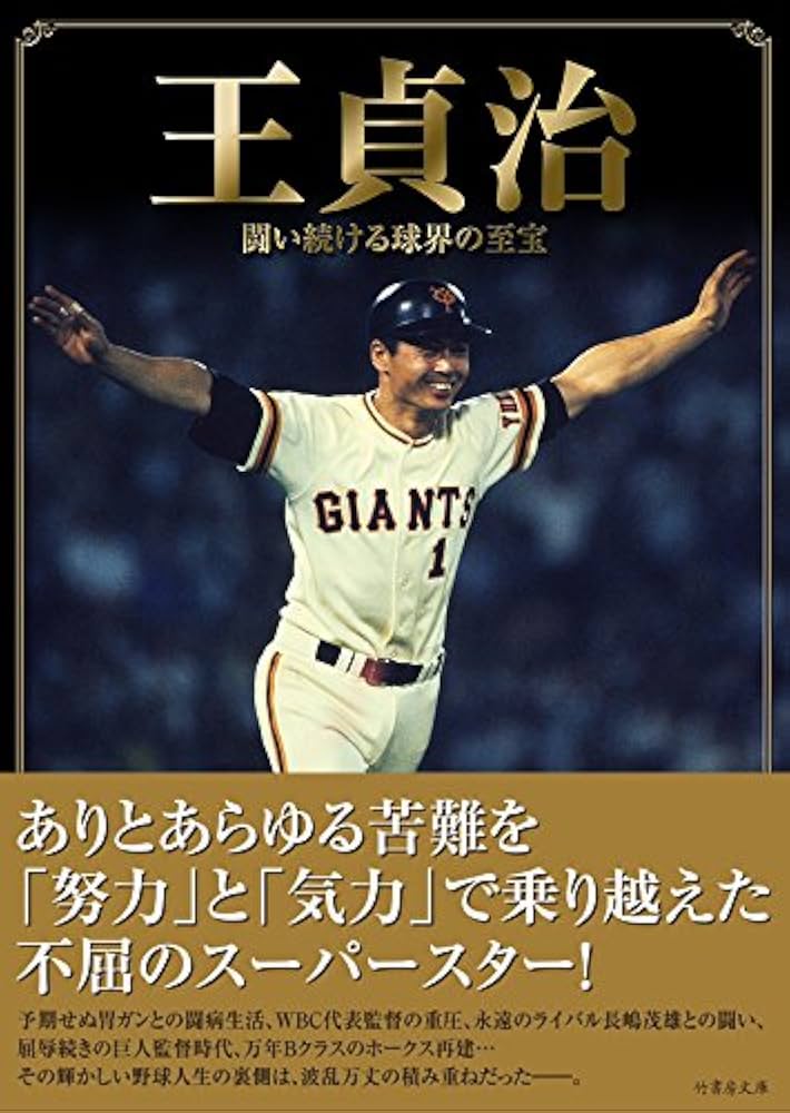 51SNp3WWoFL._AC_UF1000,