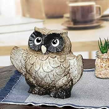 51T076cW4HL._AC_UF350,