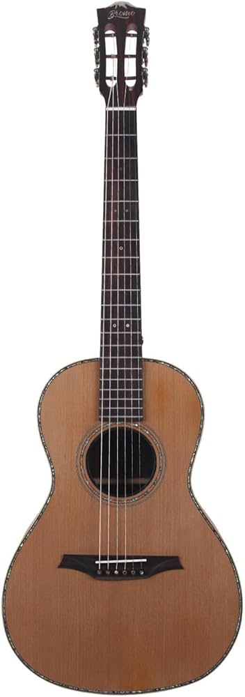 Amazon | Bromo BAR6E ブロモ エレクトリック アコースティックギター