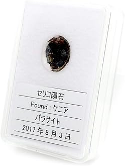 Amazon.co.jp: GOLD STONE: パラサイト隕石（石鉄隕石）