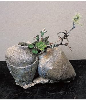 古器に生ける―古美術 柳‐日々の花 (別冊緑青 15) | 川島南智子 |本