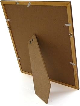 Amazon.co.jp: 名言「雄弁は銀、沈黙は金」手書き書道色紙額／受注後の