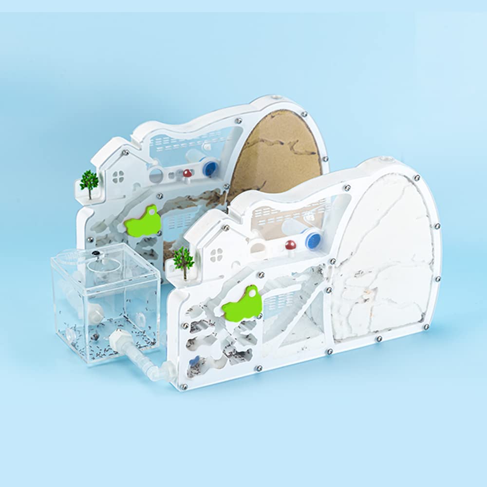 Amazon.com: ELNMLHT 2PCS Ant Farm Castle with Connecting Tubes and