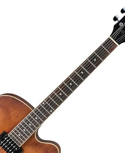 Amazon.com: Ibanez Artcore AF55 Hollowbody Electric Guitar