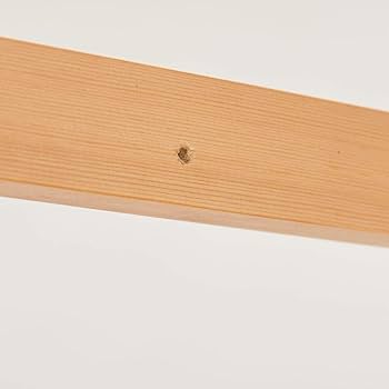 Amazon.co.jp: 無印良品 パイン材ユニットシェルフ用・ワードローブ