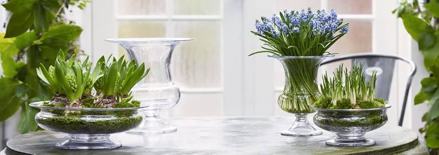 Amazon.co.jp: ホルムガード HOLMEGAARD OLD ENGLISH フラワーボウル φ