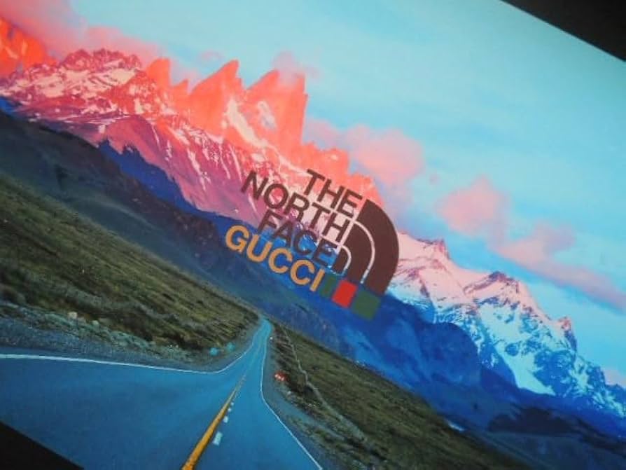 51X1Bew8G2L._AC_UF894,