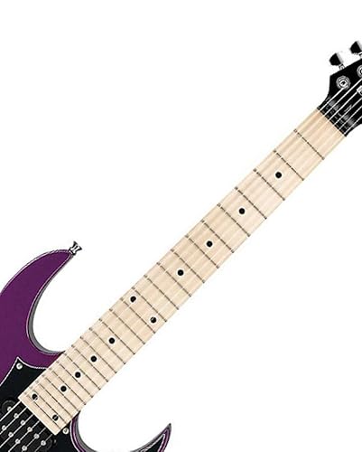 Amazon.com: Ibanez RG MiKro GRGM21 Meter- Metallic Purple