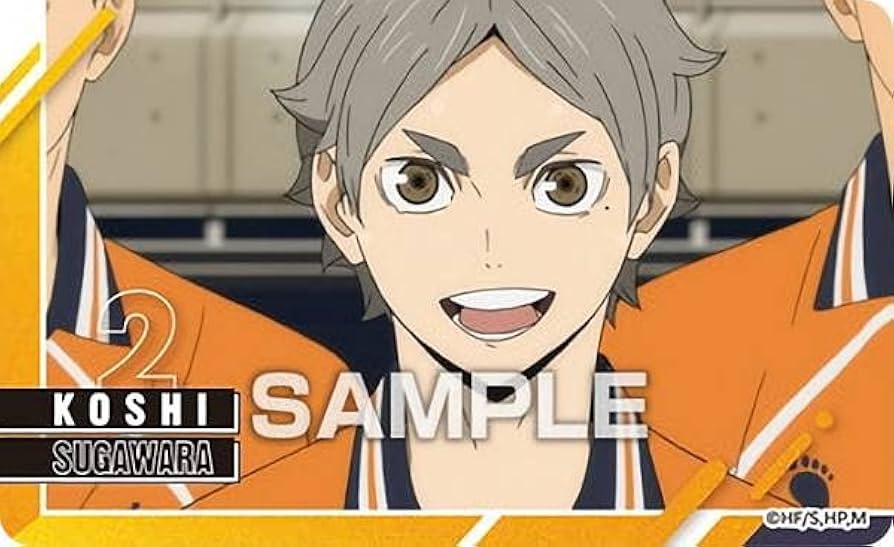 Amazon.co.jp: 【菅原孝支（横長）】ハイキュー!! デコステッカー3