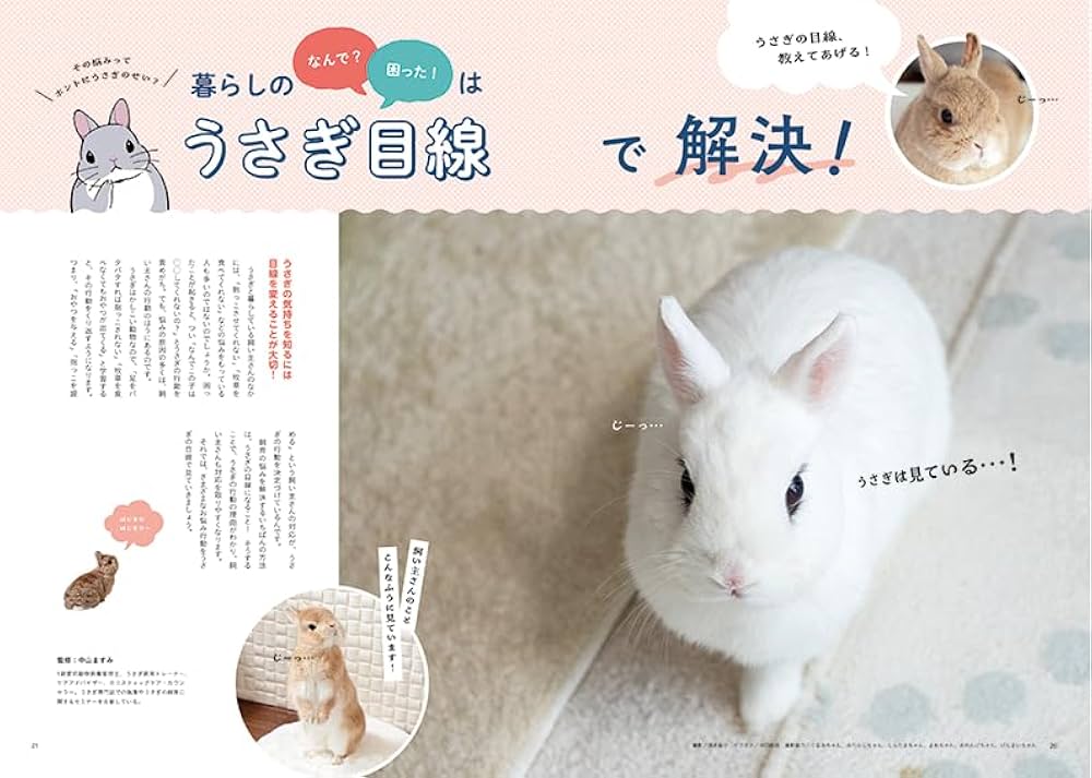 Amazon.co.jp: うさぎのきもちvol.5 ([バラエティ]) : 東京書店: 本