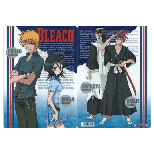 Amazon.co.jp: BLEACH-ブリーチ- 下敷き/黒崎一護＆朽木ルキア、阿散井