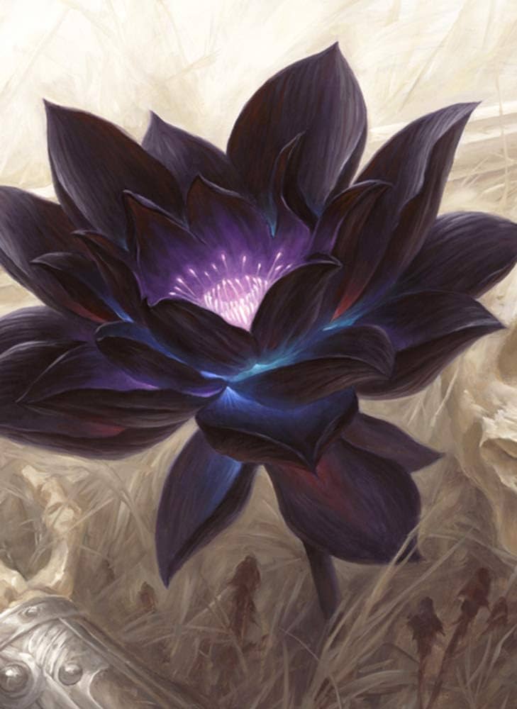 Amazon | 120枚/ロット ブラック ロータス ゲーム スリーブ カード