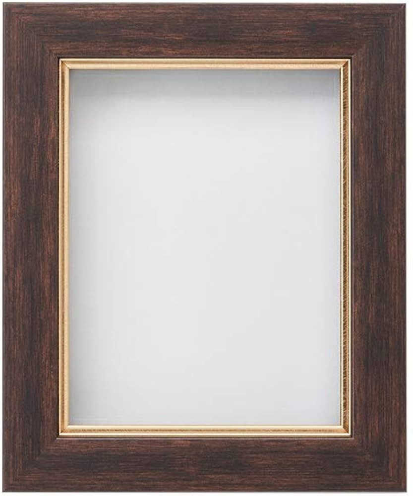 Amazon | アルナ 樹脂額 油縁 「ダブルフレーム」 面金付き オーク F-6