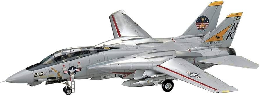 Amazon.com: Hasegawa 1:48 Scale F-14A Tomcat Model Kit : Arts