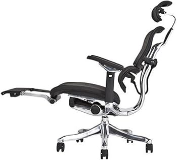Amazon | エルゴヒューマン オフィスチェア プロ ブラック オットマン
