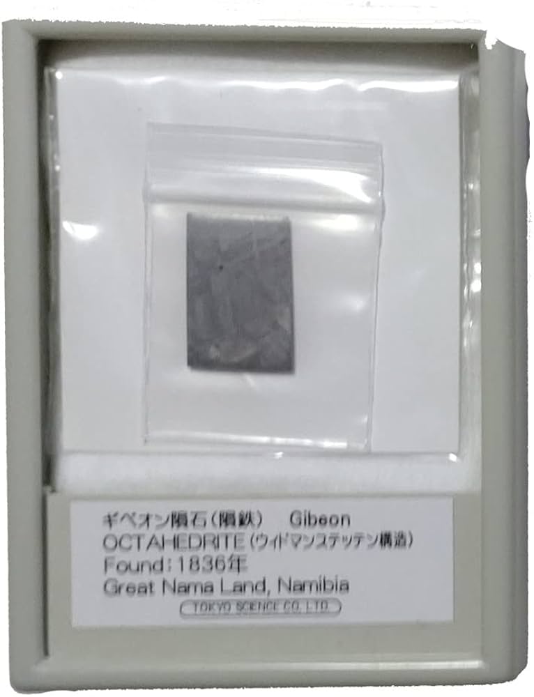 Amazon | TOKYO SCIENCE 鉄隕石 オクタヘドライト ギベオン隕石