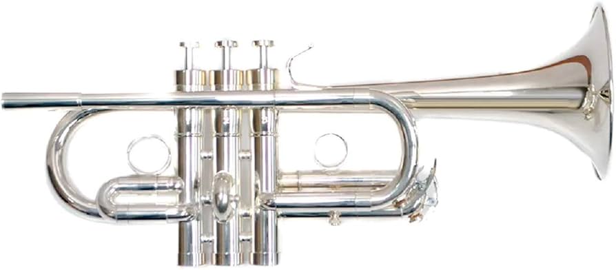 Amazon | PLAYTECH (プレイテック) トランペット Eb/D PTTR-200E