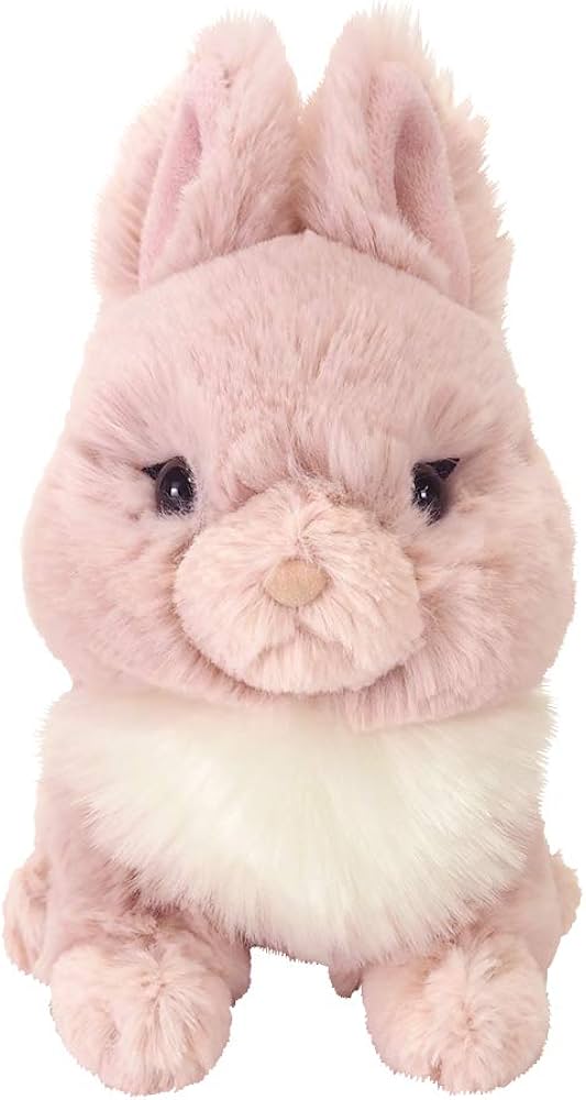 Amazon.co.jp: サンレモン(Sun Lemon) ラピヌ ネザーランドドワーフ