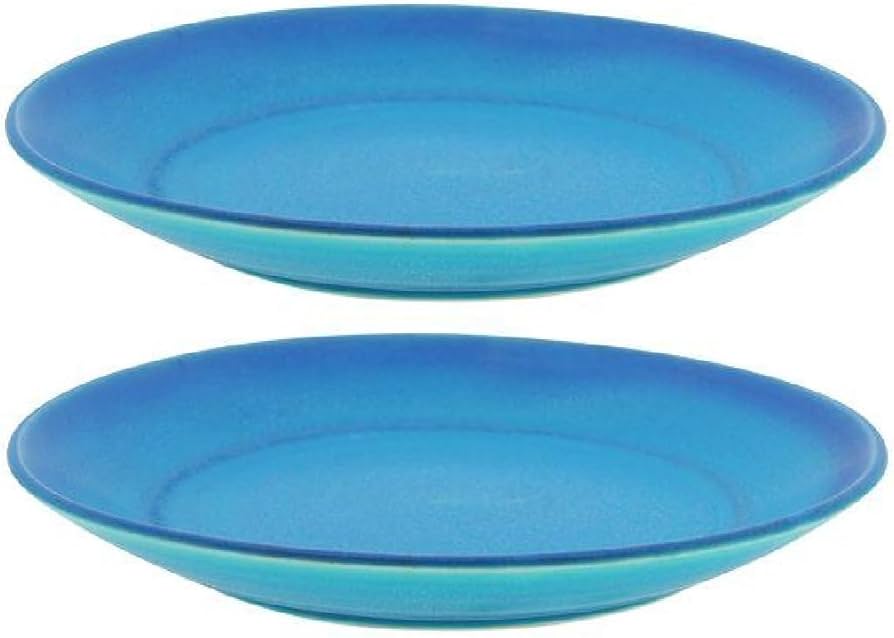 Amazon.co.jp: 美濃焼 ターコイズブルー 7寸プレート (2枚組) : ホーム