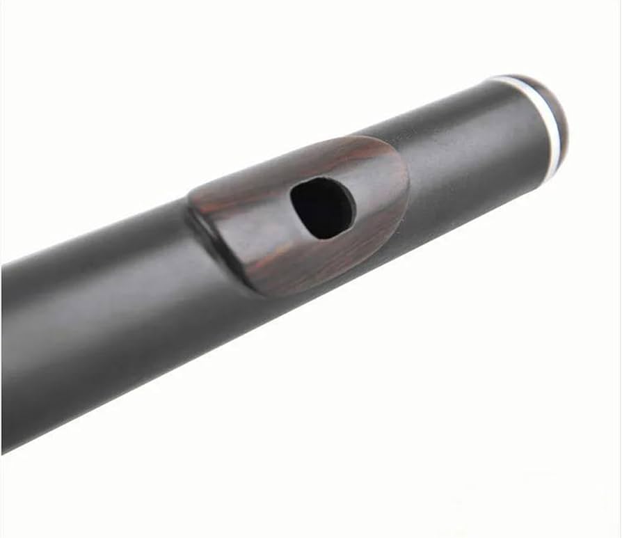 Amazon | プロフェッショナルフルート 17 穴オープンホール黒檀 C