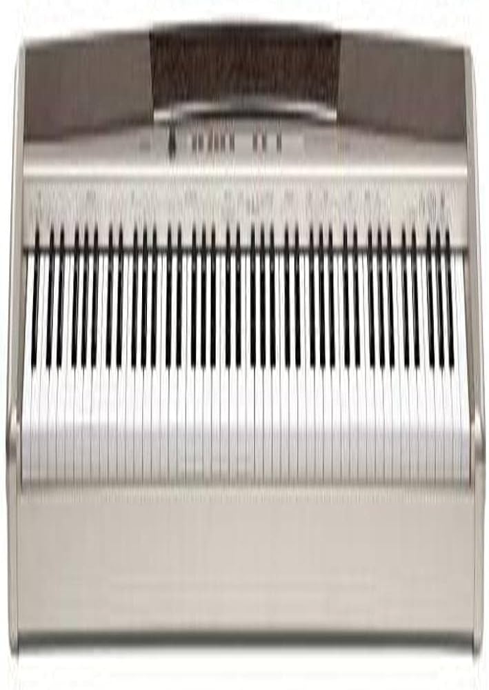 Amazon.com: Casio PX120 Privia Digital Piano : Musical Instruments