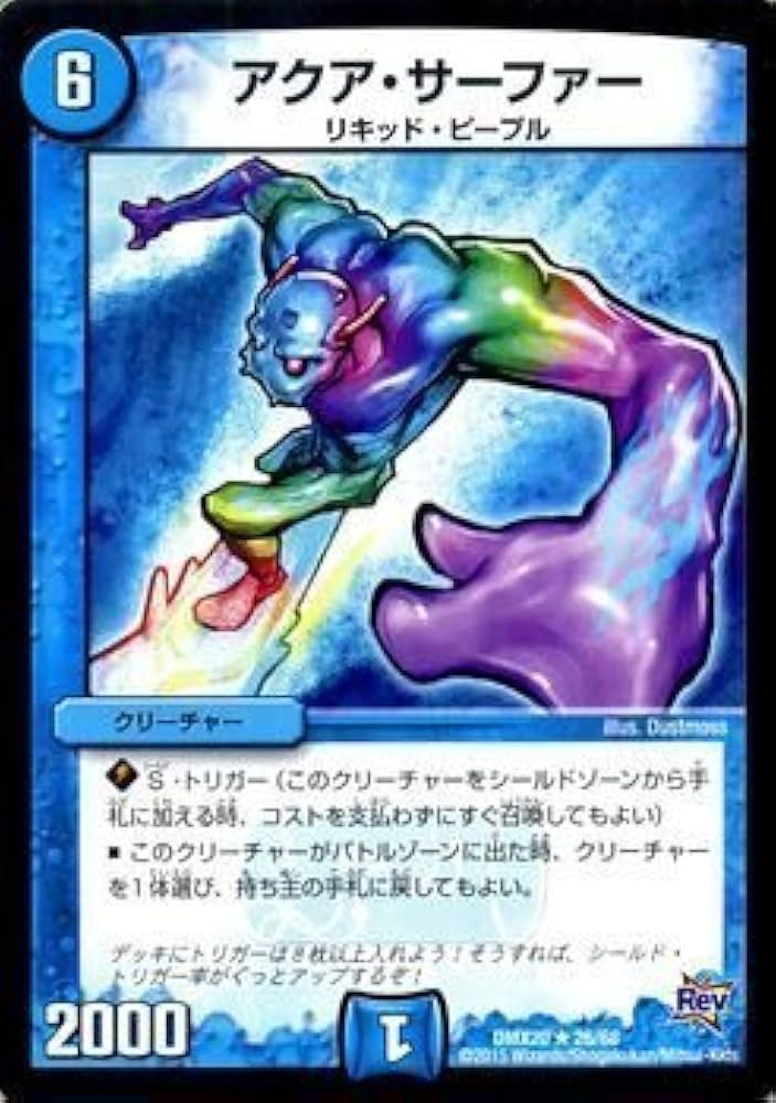 アクアサーファー ベストチャレンジャー 希少 アクアサーファー ベスト