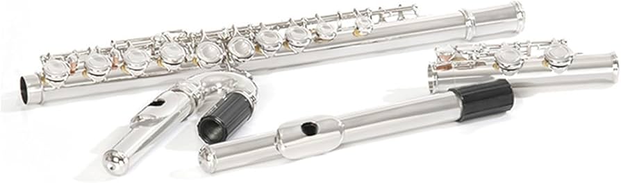 Amazon | フルート 銀メッキダブルマウスピースフルート 16穴銀メッキ