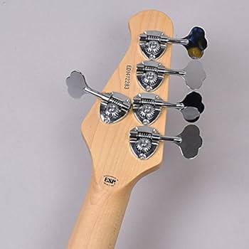 Amazon | EDWARDS E-Bardic STPI 5弦エレキベース/tetsuyaモデル