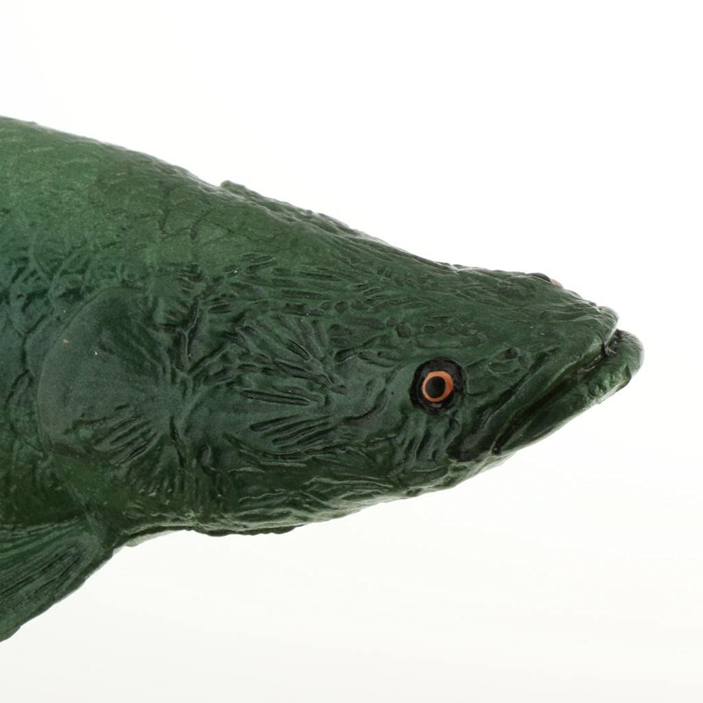 Amazon | 現実的な動物フィギュア海の動物モデルのおもちゃ - ベース