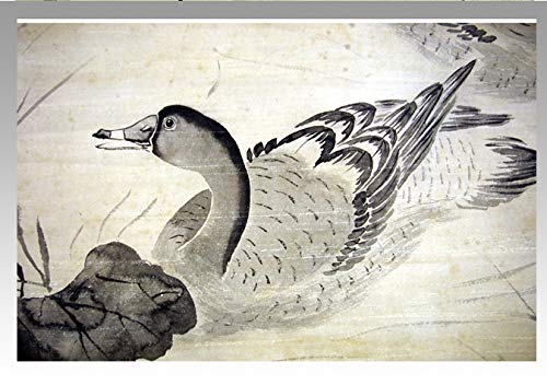 Amazon.co.jp: 中国美術☆白陽山人【陳淳 Chen Chun】ちんじゅん☆「鴨