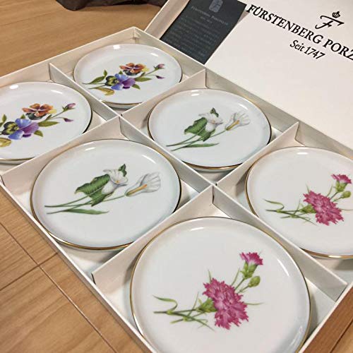 Amazon.co.jp: フィシテンバーグ 皿 プレート 貴重ヴィンテージ 6枚